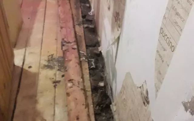 Вскрыли полы. А там!!!